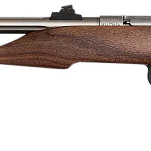 Chipmunk 40101 Hunter  Youth Frame 22 S/L/LR Single Shot 9" Threaded Stainless Steel Barrel, Walnut Frame, EZ Loader