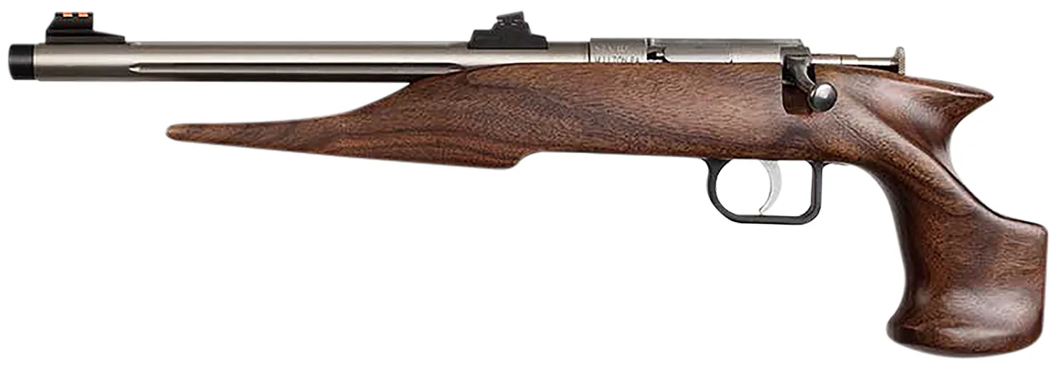 Chipmunk 40101 Hunter Youth Frame 22 S/L/LR Single Shot 9" Threaded Stainless Steel Barrel, Walnut Frame, EZ Loader