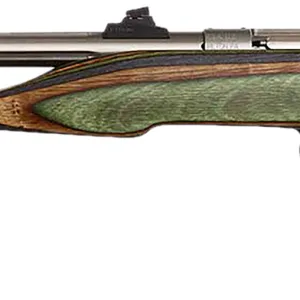 Chipmunk 41105 Hunter Adult 22 Mag 1rd 9" Threaded Stainless Steel Single Shot Barrel, Camo Laminate Stock